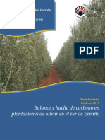 Balance y Huella de Carbono en Plantaciones de Olivar en El Sur de España