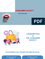The Consumer Socety