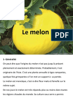 Diapo Melon