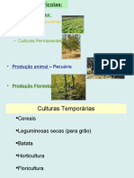 19-20 PPT Produções Agrícolas