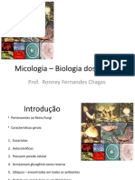 Biologia dos fungos: estrutura, reprodução e importância