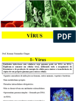 Caracteristicas gerais dos virus