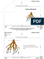 Parts of The Root Definition Booklet