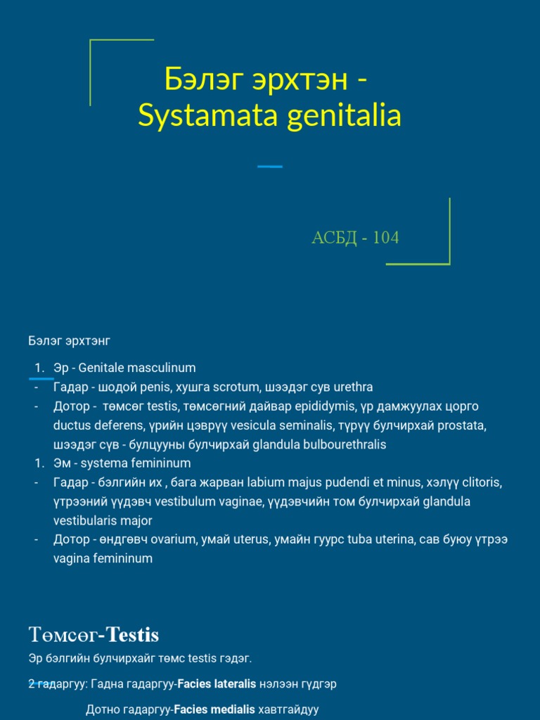 Эр эм бэлэг эрхтэн | PDF