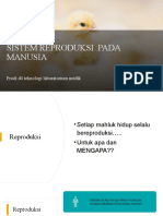 Sistem Reproduksi Pada Manusia