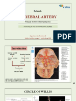 Cerebral Artery Revised