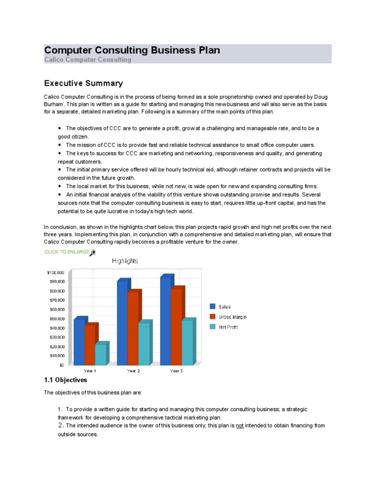 Computer Consulting Business Plan Marketing Gross Margin