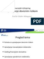 P5-Upravljanje Deviznim Rizikom