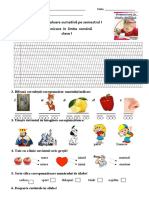 Evaluare Sumativă CLR Sem.I