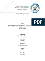 Patologías Inflamatorias y Tumorales Del Estómago - Ponce Karen