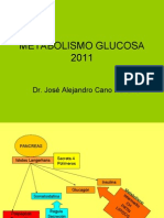 Metabolismo Glucosa 2011