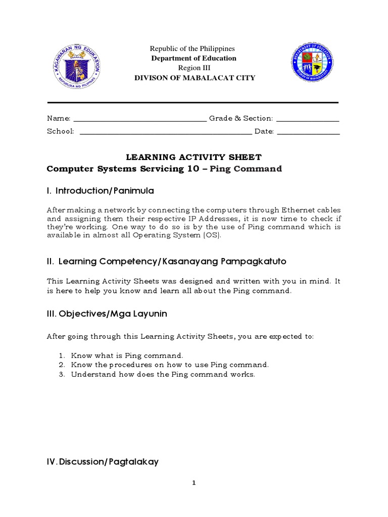 Ping Command Guide for Computer Systems | PDF | Internet Standards ...