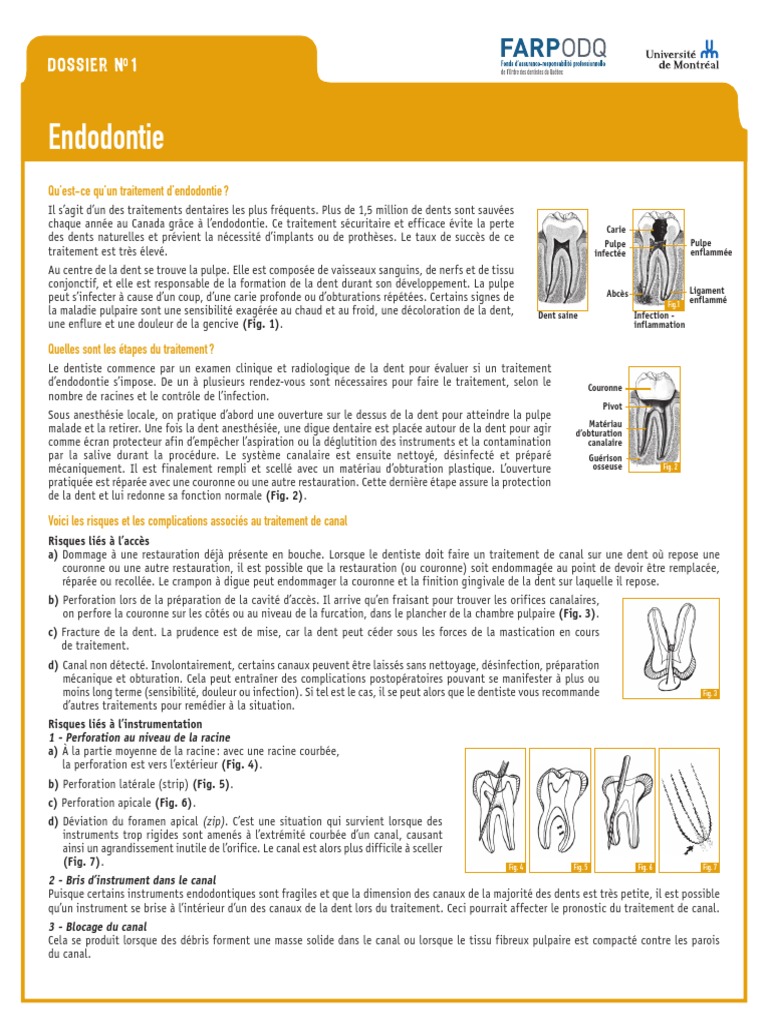 Guide complet sur l'endodontie | PDF | Soins de santé | Médecine
