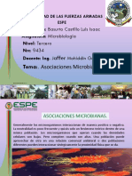 .Asociaciones Microbianas