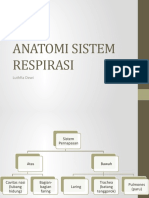 Anatomi Sistem Respirasi