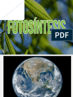 Fotosintesis 121A