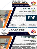 Diplomas Reporte y Gestion Seg Paciente HSRT