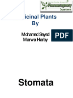 Medicinal Plants By: Mohamed Sayed Marwa Harby