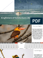 Kingfisher Calendar 2022