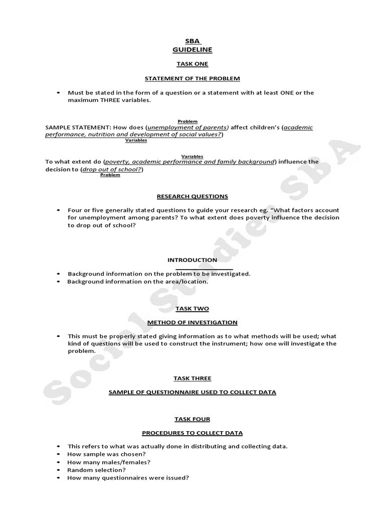 SBA Guideline: Task One Statement of The Problem | PDF | Data ...