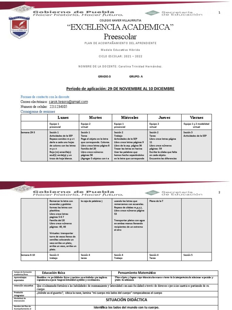Plan Quincena 23 Nov 10 Diciembre PDF Evaluación