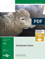 Verminose ovina: controle e prevenção