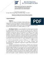 Relatório de Variação de Massa Específica - Paulo Rodrigo