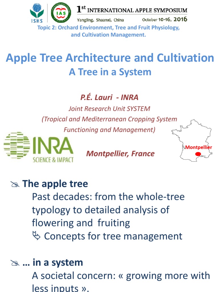 Optimizing Apple Tree Architecture and Cultivation Management Through ...