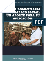 Visita Domiciliaria 1