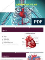 Aparato Cardiovascular