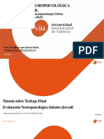 Evaluación neuropsicológica infanto-juvenil