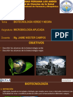 P12. - Biotecnología Verde y Negra