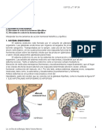 Regulacion Hormonal