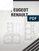 Cat Leve Spaal Peugeot Renault