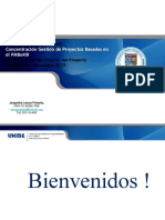 III-1 Rol Del Director Del Proyecto