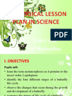 Pedagogical Lesson Plan in Science: Life Cycle of Butterflies