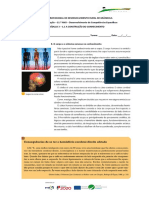 O corpo e o sistema nervoso no conhecimento