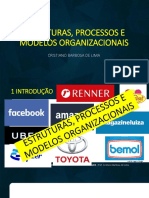 Aula Ufam - Estrutura Processos e Modelo Organizacional - Cristiano Barbosa de Lima (1)
