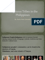Indigenous Tribes in The Philippines (F)