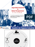 Seguridad Industrial y Salud Ocupacion 4