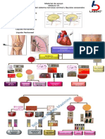 Material de Apoyo Modulo VII