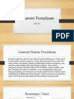 PTM 1&2-Anatomi Pernafasan