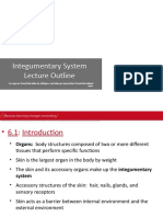 Unit 3 Integumentary System