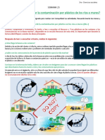 ¿Cómo Podemos Mitigar La Contaminación Por Plástico de Los Ríos o Mares?