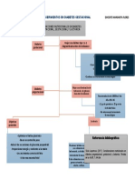 Mapa Requereminetos Con Diabetes en El Embarazo