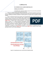 Radiobiologia e Fotobiologia Capitulo Vii