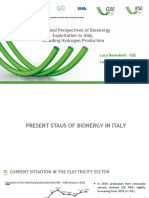 Status and Perspectives of Bioenergy in Italy