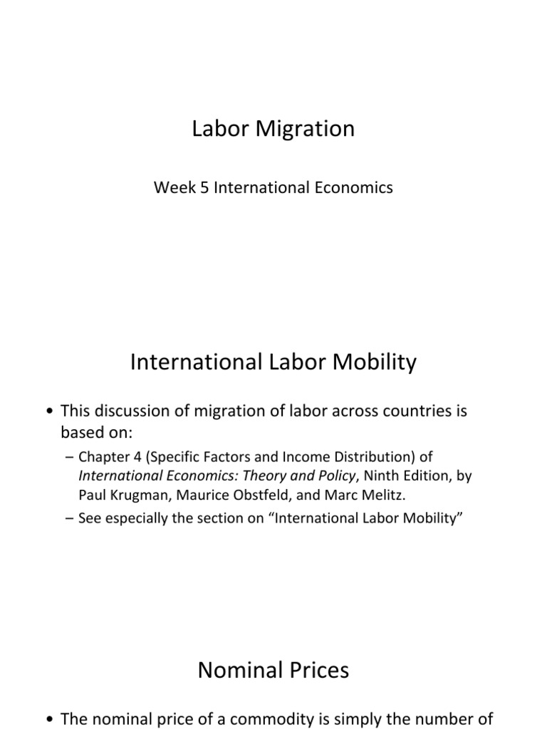 International Labor Migration Insights | PDF | Labour Economics ...