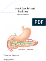 Anatomi Dan Sekresi Pankreas