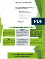 El Concebido en La Legislación Peruana